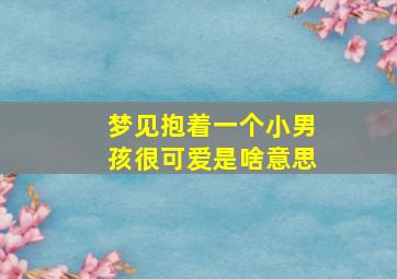 梦见抱着一个小男孩很可爱是啥意思