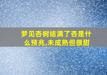 梦见杏树结满了杏是什么预兆,未成熟但很甜