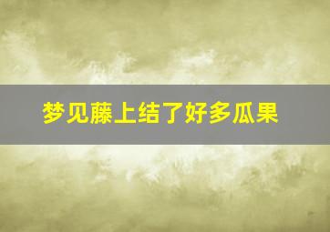 梦见藤上结了好多瓜果