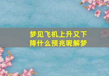 梦见飞机上升又下降什么预兆呢解梦