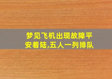 梦见飞机出现故障平安着陆,五人一列排队