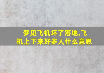 梦见飞机坏了落地,飞机上下来好多人什么意思