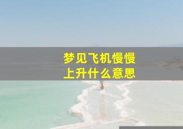 梦见飞机慢慢上升什么意思