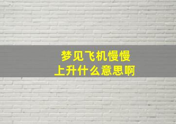 梦见飞机慢慢上升什么意思啊