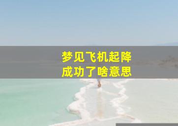 梦见飞机起降成功了啥意思