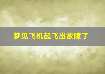 梦见飞机起飞出故障了