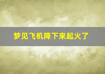 梦见飞机降下来起火了