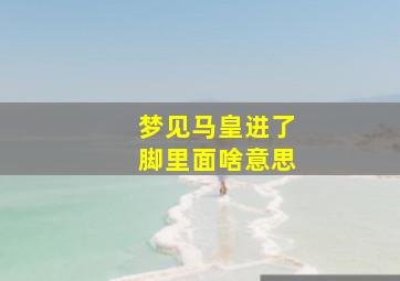 梦见马皇进了脚里面啥意思