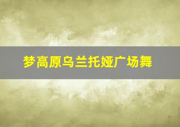 梦高原乌兰托娅广场舞