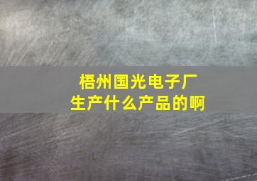 梧州国光电子厂生产什么产品的啊