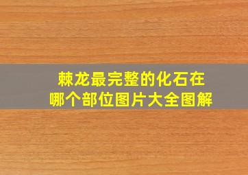 棘龙最完整的化石在哪个部位图片大全图解