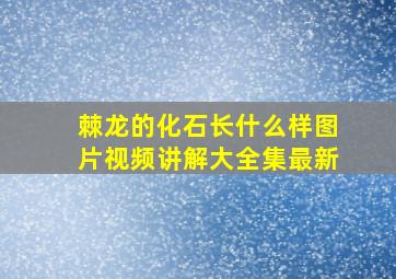 棘龙的化石长什么样图片视频讲解大全集最新