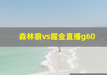 森林狼vs掘金直播g60