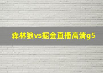 森林狼vs掘金直播高清g5