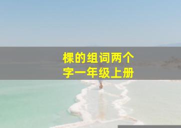 棵的组词两个字一年级上册