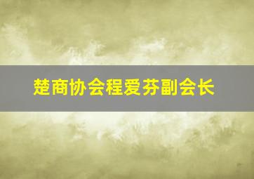 楚商协会程爱芬副会长