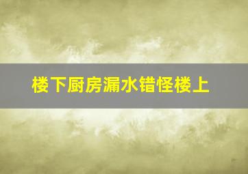 楼下厨房漏水错怪楼上