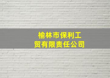 榆林市保利工贸有限责任公司