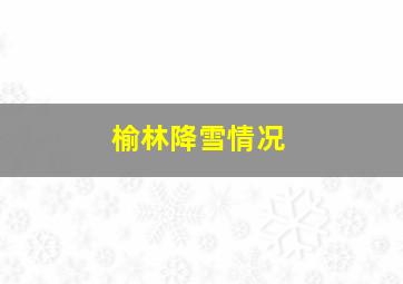 榆林降雪情况