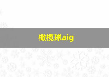 橄榄球aig