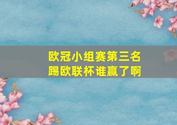 欧冠小组赛第三名踢欧联杯谁赢了啊