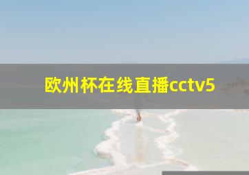 欧州杯在线直播cctv5