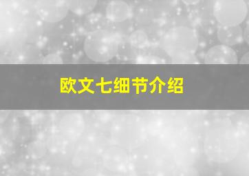 欧文七细节介绍