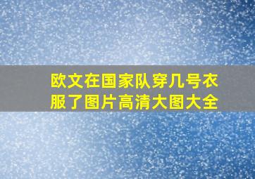 欧文在国家队穿几号衣服了图片高清大图大全