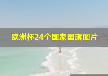 欧洲杯24个国家国旗图片