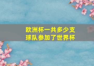 欧洲杯一共多少支球队参加了世界杯