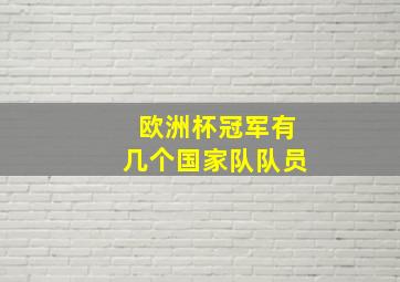 欧洲杯冠军有几个国家队队员