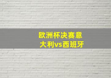 欧洲杯决赛意大利vs西班牙