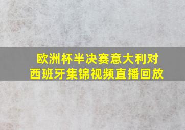 欧洲杯半决赛意大利对西班牙集锦视频直播回放