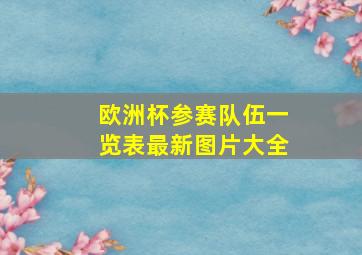 欧洲杯参赛队伍一览表最新图片大全