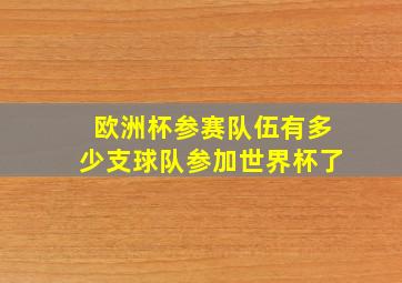 欧洲杯参赛队伍有多少支球队参加世界杯了