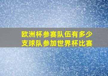 欧洲杯参赛队伍有多少支球队参加世界杯比赛