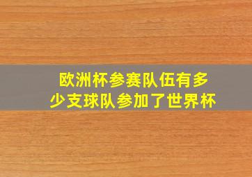 欧洲杯参赛队伍有多少支球队参加了世界杯