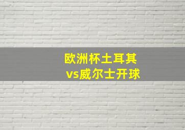 欧洲杯土耳其vs威尔士开球