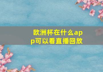 欧洲杯在什么app可以看直播回放