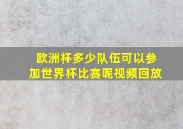 欧洲杯多少队伍可以参加世界杯比赛呢视频回放