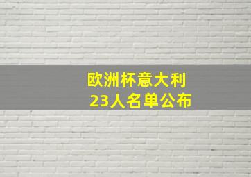 欧洲杯意大利23人名单公布