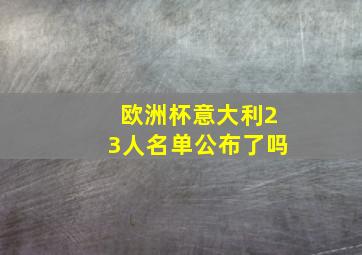 欧洲杯意大利23人名单公布了吗