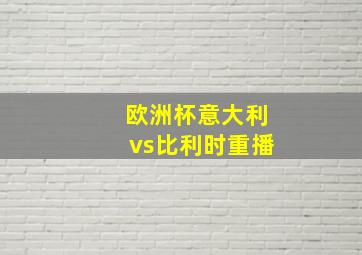 欧洲杯意大利vs比利时重播