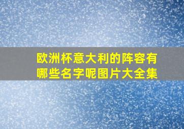 欧洲杯意大利的阵容有哪些名字呢图片大全集