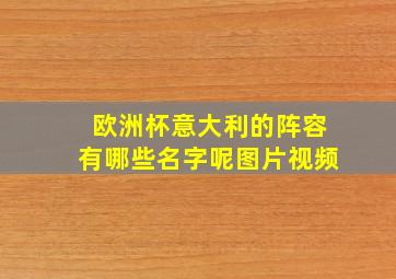 欧洲杯意大利的阵容有哪些名字呢图片视频