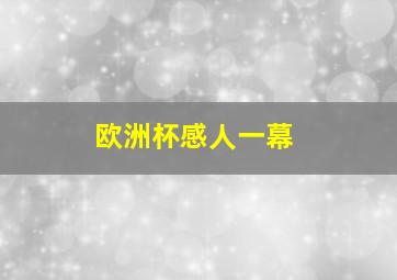 欧洲杯感人一幕