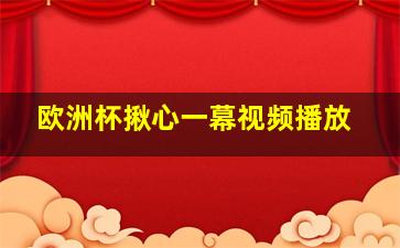 欧洲杯揪心一幕视频播放