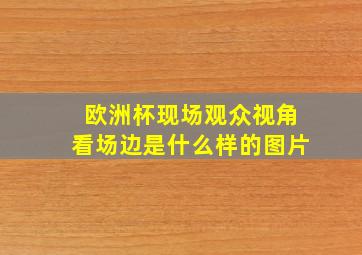 欧洲杯现场观众视角看场边是什么样的图片