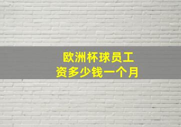 欧洲杯球员工资多少钱一个月