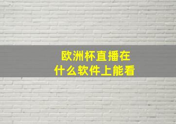 欧洲杯直播在什么软件上能看